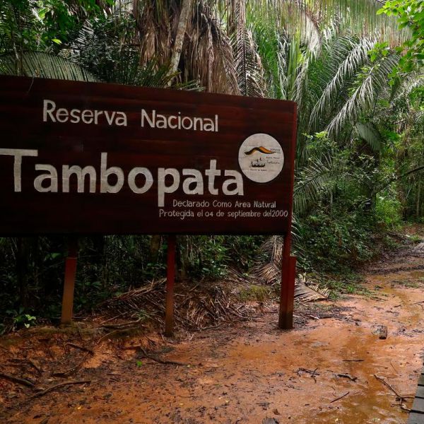 Tours en Tambopata  desde Honduras