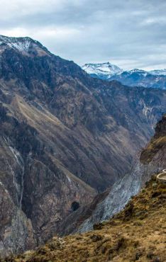 Cañón del Colca desde Honduras