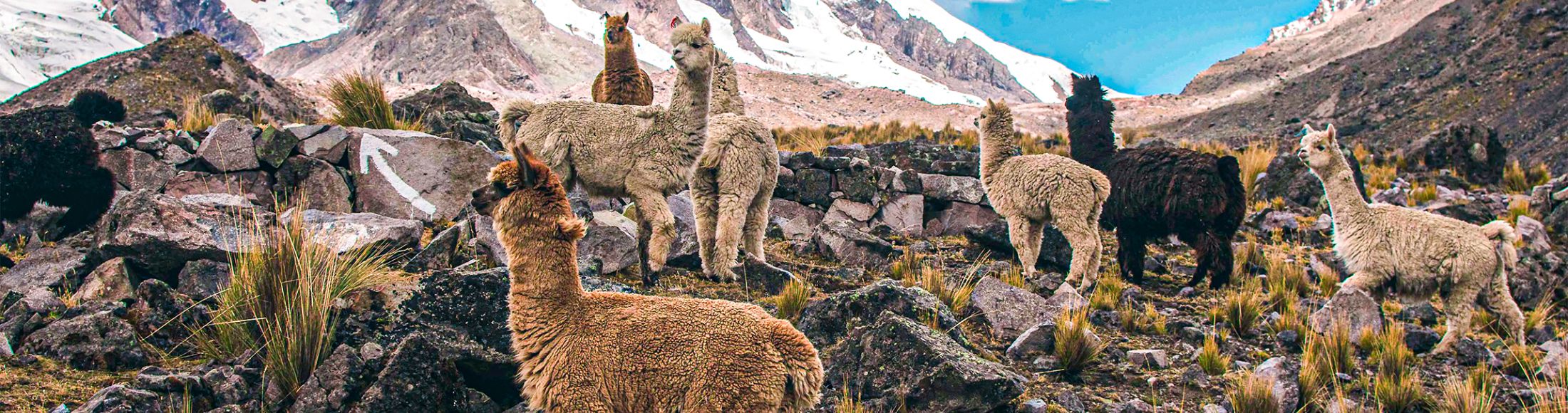 Machu Picchu 4D3N Viajero (Cultural Aventura Tendencia)  desde Honduras