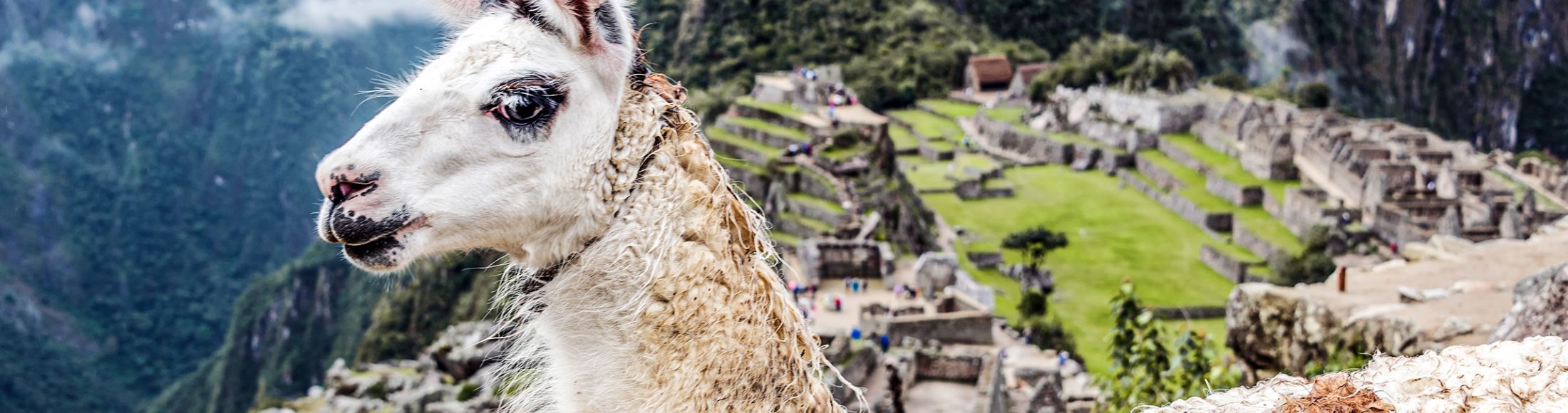 Machu Picchu 8D7N Viajero (Full Cultural)  desde Honduras