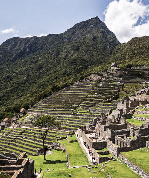 Machu Picchu desde Honduras